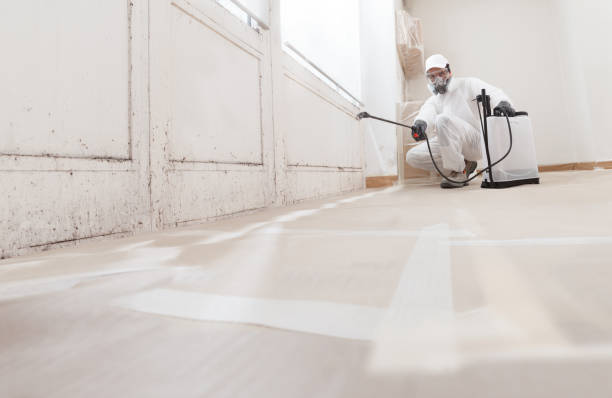 24/7 Emergency Attic Mold Removal experts in Portsmouth, VA